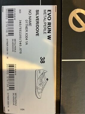 Evo Run W Silver/Dove Women's Sneakers